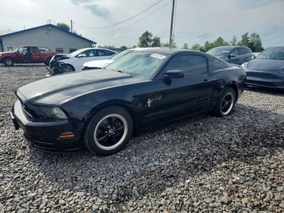 1ZVBP8AM7D5****** 2013 Ford Mustang