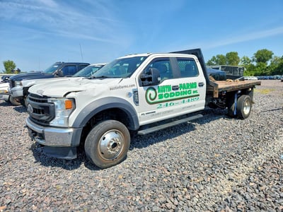 1FD0W5HT0LE****** 2020 Ford F-550