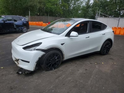 7SAYGDEEXPF****** 2023 Tesla Model Y