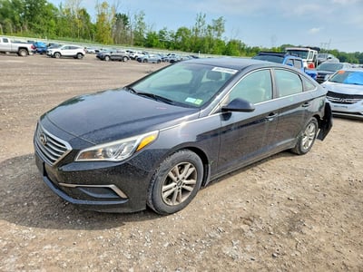 5NPE24AFXGH****** 2016 Hyundai Sonata