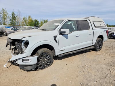 1FTFW5LD5RF****** 2024 Ford F-150