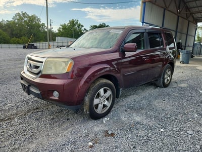 5FNYF38429B****** 2009 Honda Pilot