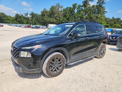 5NMS64AJ3PH****** 2023 Hyundai Santa Fe