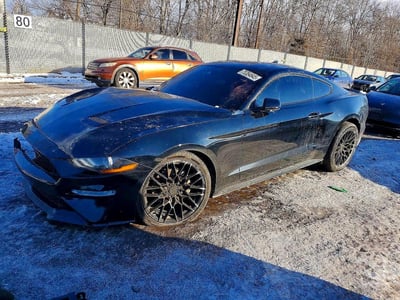 1FA6P8TH8M5****** 2021 Ford Mustang