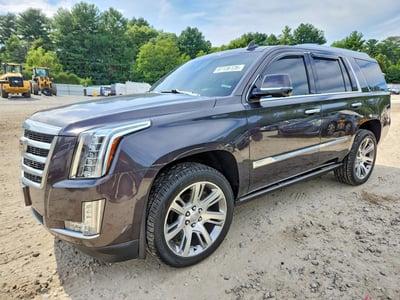 1GYS4CKJ0GR****** 2016 Cadillac Escalade
