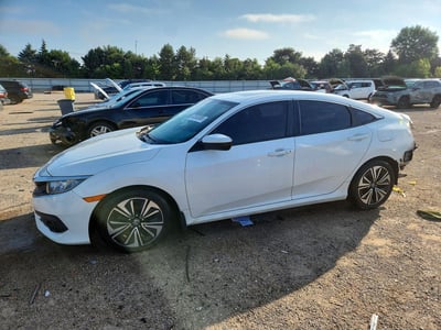 2HGFC1F79HH****** 2017 Honda Civic