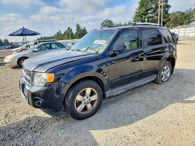2010 Ford Escape