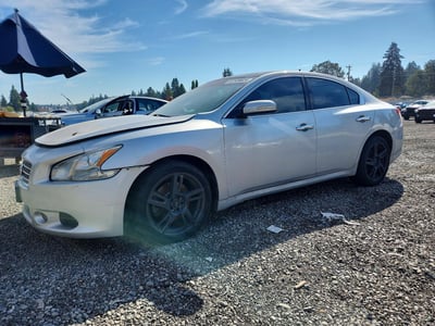 1N4AA51E19C****** 2009 Nissan Maxima