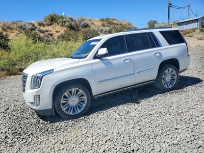 2016 Cadillac Escalade