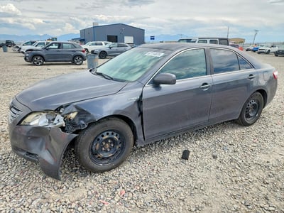 4T1BB46K49U****** 2009 Toyota Camry