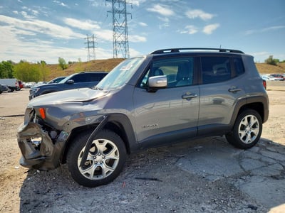 ZACNJBD10KP****** 2019 Jeep Renegade