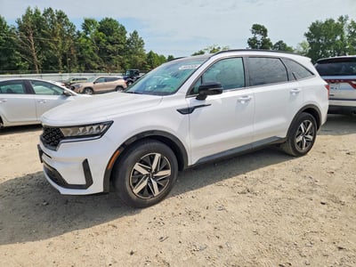 5XYRL4LC0PG****** 2023 Kia Sorento