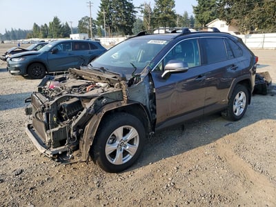 2T3RWRFV0KW****** 2019 Toyota RAV4 Hybrid