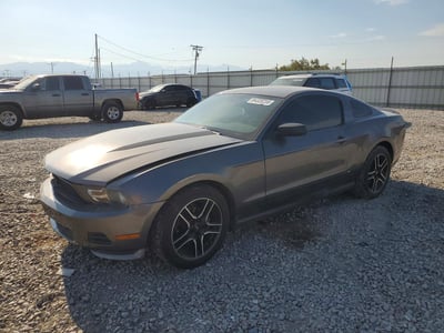 1ZVBP8AN5A5****** 2010 Ford Mustang