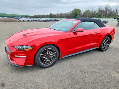 2019 Ford Mustang