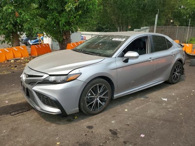 4T1G11BK6PU****** 2023 Toyota Camry