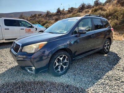 JF2SJGPC3EH****** 2014 Subaru Forester