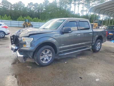 1FTEW1CP2FF****** 2015 Ford F-150