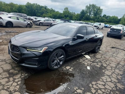19UUB5F5XNA****** 2022 Acura TLX
