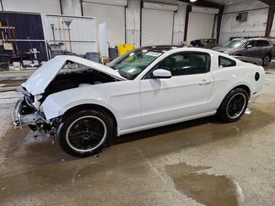 1ZVBP8AM8E5****** 2014 Ford Mustang