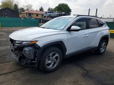 5NMJBCDE8RH****** 2024 Hyundai Tucson