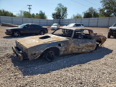 1G2AW87W2BL****** 1981 Pontiac Firebird