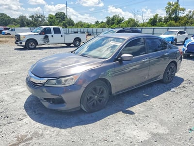1HGCR2F35HA****** 2017 Honda Accord