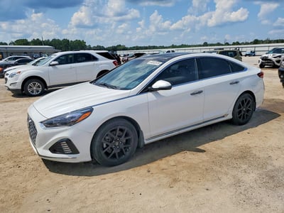 5NPE34AB5KH****** 2019 Hyundai Sonata