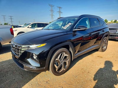 5NMJECDE8RH****** 2024 Hyundai Tucson