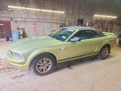 1ZVFT84N055****** 2005 Ford Mustang
