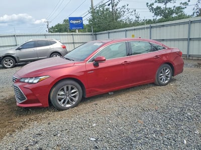 4T1B21FB0KU****** 2019 Toyota Avalon