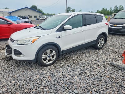 1FMCU0G98EU****** 2014 Ford Escape