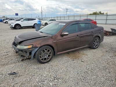 19UUA76578A****** 2008 Acura TL