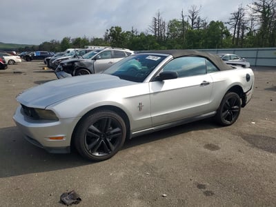 1ZVBP8EN8A5****** 2010 Ford Mustang