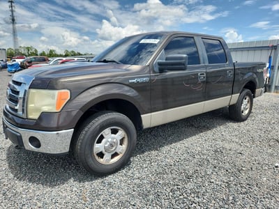 2009 Ford F-150