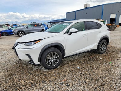 JTJBARBZ2K2****** 2019 Lexus NX 300