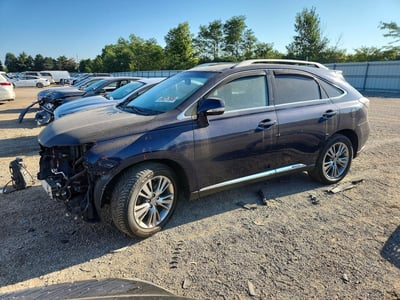 JTJBC1BA1E2****** 2014 Lexus RX Hybrid