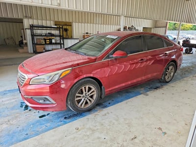 5NPE24AF0GH****** 2016 Hyundai Sonata