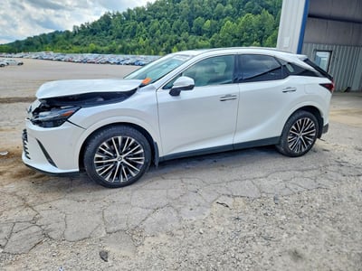 2024 Lexus RX