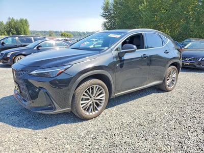 JTJHKCEZ3N2****** 2022 Lexus NX