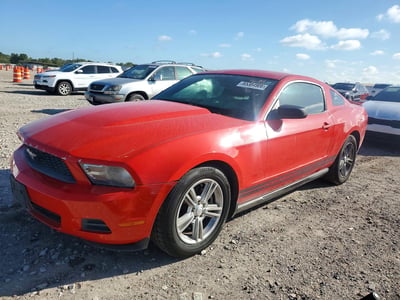 1ZVBP8AM3B5****** 2011 Ford Mustang