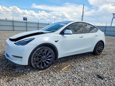 7SAYGDEF7PF****** 2023 Tesla Model Y