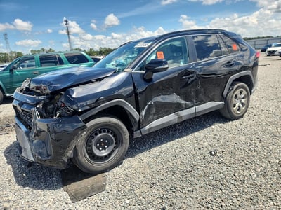 2T3G1RFV2KW****** 2019 Toyota RAV4