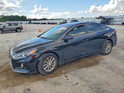 5NPE24AF8KH****** 2019 Hyundai Sonata