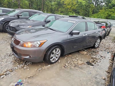 2010 Honda Accord