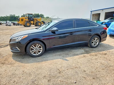 5NPE24AF6GH****** 2016 Hyundai Sonata