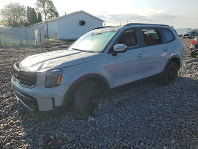 5XYP5DGC0RG****** 2024 Kia Telluride