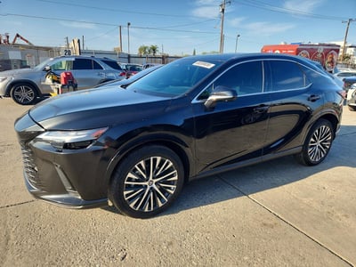 2025 Lexus RX