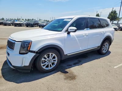 5XYP24HC3MG****** 2021 Kia Telluride