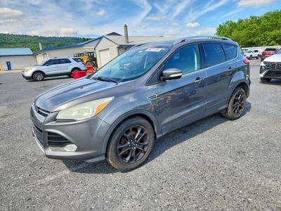 1FMCU0JXXEU****** 2014 Ford Escape